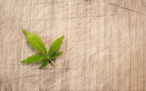 Marijuana and a Healthy You: How Does That Work?