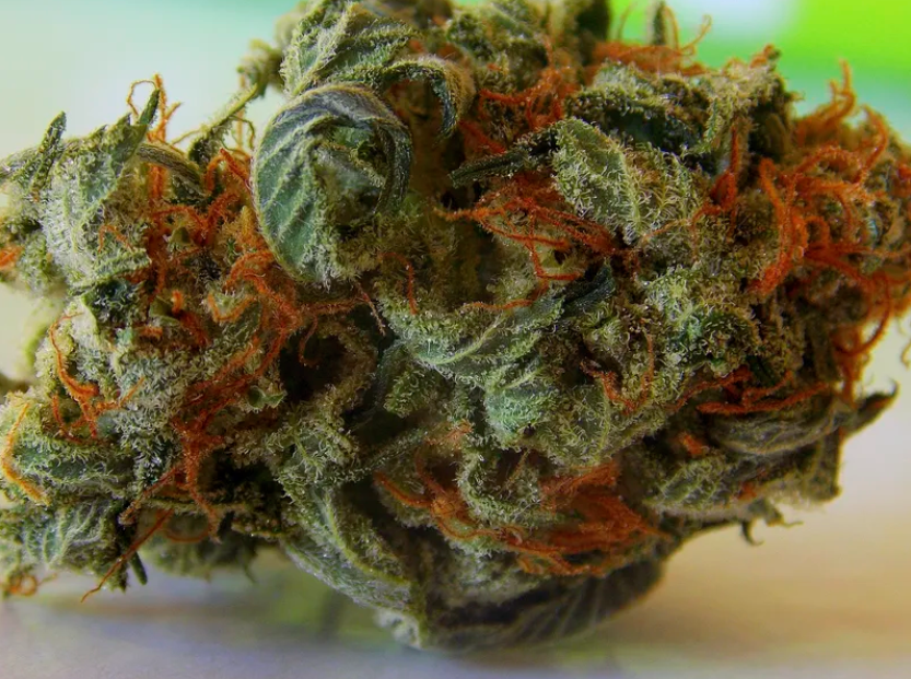 Cheapest THCA Flower In The USA, HEMP BAN SALE